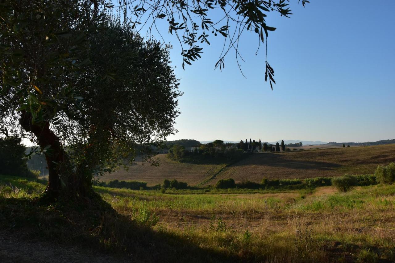 Agriturismo Cheloni Guasticce Zewnętrze zdjęcie